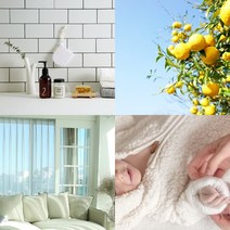 프래그런스오일 [ 100ml ] 360여가지 (201~361) 캔들향 디퓨저향 석고방향제향 향기오일, 321. 프렌치라벤더