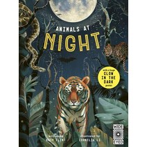Animals at Night [With Glow-In-The-Dark Poster] Hardcover, Wide Eyed Editions, English, 9781786035400