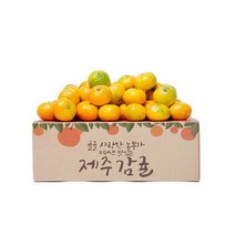 제주 감귤 맛좋은 제철과일, 1box, 4.5kg 로얄과