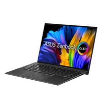 에이수스 2021 젠북 14X, 파인 그레이, 코어i7 11세대, 512GB, 16GB, Free DOS, UX5401EA-L7109