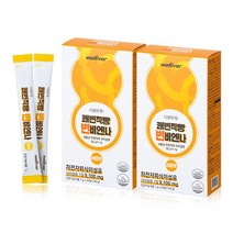 쾌변직빵 변비엔나 차전자피 식이섬유 약9100mg 콜레스테롤 개선 도움, 20포, 2개