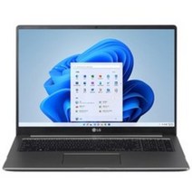 LG 울트라PC 엣지 WQXGA, 256GB, 차콜 그레이, 16U70Q-HA56K, 라이젠5, 16GB, WIN11 Home