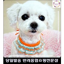 강아지오로라프릴모양줄무늬스카프 강아지용품점 애견미용용품 애견물품 개용품