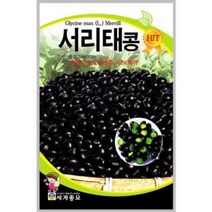 서리태콩 30g / 콩 씨앗 종자 농작물 텃밭키우기 채소키우기