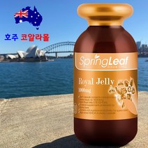 로얄젤리 1000mg 365캡슐 스프링리프 호주코알라몰