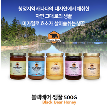 (블랙베어) 캐나다 온타리오 프리미엄 허니 생꿀 500g, 1개