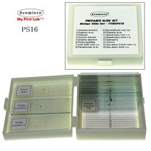 생물 관찰 PS-16 중급 프레파라트 현미경 표본 유리 슬라이드 PREPARAT 과학실 과학 실험 키트 초등 학교 중학교