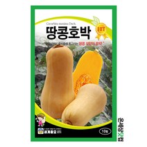 땅콩호박 10립 3봉 1세트/ 종자 씨앗 채소 텃밭 가정원예 빠스 식이섬유 버터넛호박