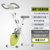 실내 바이크 사이클 실내용 홈쇼핑 자전거 홈 미니 운동 스포츠 체중 감소 접이식 페달, 그린 마그네트론 럭셔리
