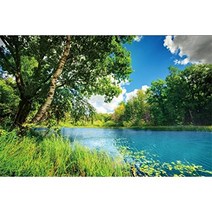 CSFOTO 5x3ft Background for Natural Scenery Photography Backdrop River Blue Water Sunny Forest Park, 1