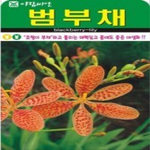 AR 범부채 중포장 씨앗 700립, 상세페이지 참조