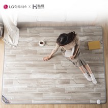 23년형 AI 인공지능 그래핀 LG하우시스 모노륨 탄소매트 소형 전자파없는 절전