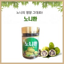 노니환 300g 노니열매 인도네시아 파극천 노니가루 파우더 액 물 파이토케미컬 파이토케미칼 피토케미칼, 단품
