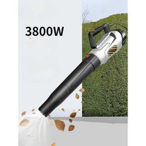 충전 송풍기 핸디 낙엽 제설 청소 블로워 마스터, 20V 리튬 배터리 (무선모델)