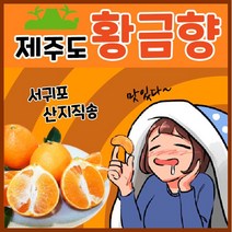 [프리미엄] 특급 선별품 제주 황금향 정품 선물세트 무료교환환불 고당도, 로얄과 6kg 특대 (24과)