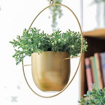 골드 메탈로 고급스러운 화분 걸이