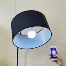 델플러스 IoT전구 스마트 풀컬러, 풀칼라