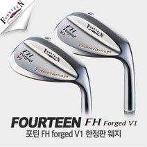정품 포틴 FH-V1 한정판웨지 NSPRO950HT/DG Forged, DG스틸, 54도