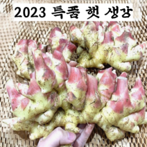 2023 수확 국산 햇 생강 최상급 특품 흙 생강, 1개