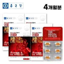 종근당 나토키나제 30정 혈행 개선 영양제 나토키나아제 낫또 알약 형태, 30정 - 4박스