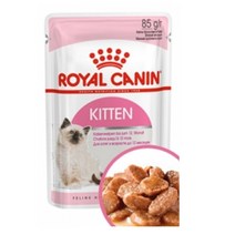 야옹이1살까지 최적영양공급 습사료 x8 피모 앙고라 반려 칭찬 맛있는