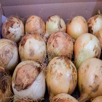 [정가농장] 22년 무안양파 햇양파 3KG/5KG, 1박스, 22년 청년농부 정경석 햇양파 중 5KG