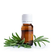 천연화장품 비누재료-(로즈마리)천연에센셜오일, 10ml