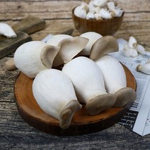 [식품의즐거움]무농약인증 함평 새송이버섯 특 2kg, 단품
