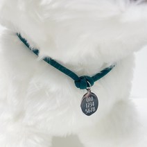 변색없는 레인보우인식줄 반려동물 목걸이 인식표 강아지인식줄 고양이인식표 써지컬펜던트, 레드