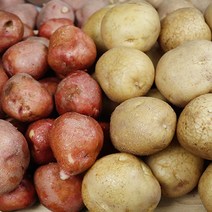 홍감자 수미감자두백감자 적감자 자주감자, 세척 홍감자 랜덤 3kg