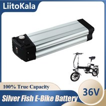 몬스터벌크 전기자전거배터리 LiitoKala 36V 실버 물고기 배터리 10Ah 전기 자전거 500W Bafang 모터 키트, [5] 48V10Ah