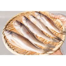 바르닷 반건조 민어조기 깨끗한 손질 10미 1미씩 개별포장 업소용 도매 소매, 23cm 내외 (70-90g) 10미