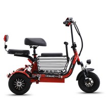 세발전기자전거 출퇴근 성인용 전동 삼륜 자토바이, 상세 페이지 참고, B