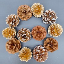늘솜아뜰리에 솔방울 대 12P 오너먼트 크리스마스 장식 사진 촬영 인테리어 소품, 5.내추럴+골드12P