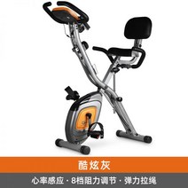 실내 자전거 미니 사이클 홍현희 싸이클 바이크 호수 XBIKE 홈 피트니스 자기 제어, 쿨 그레이  심박수 포함
