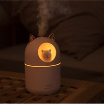 신생아 아기 가습기 300ml 미니 usb 고양이 무드등 저소음, 고양이가습기-화이트