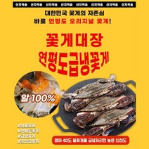 꽃게대장 연평도 꽃게 냉동꽃게 암꽃게 숫꽃게 제철, 암게 3kg