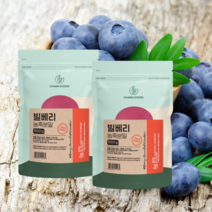 오스트리아산 빌베리 고함량 농축분말 500g 눈건강 bilberry, 500g 2개