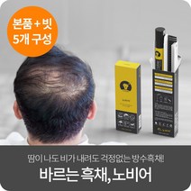 노비어 프리미엄 바르는 흑채 탈모커버 남성 여성 워터프루프 흑채 본품, 5개