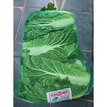 싱싱한 통배추 생배추 알배추 1포기 3포기, 통배추 1포기