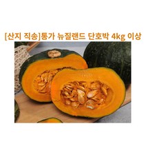 [산지 직송]통가 뉴질랜드 단호박 4kg 이상, 큰 단호박(4kg 이상)