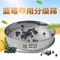블루베리 구멍 선별 곡식 곡물 수동 스테인리스 선별기 10mm 부터 20mm, 지름 18mm개