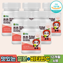 성장기 어린이 키즈 아이 유아 아기 철분 영양제 철분제 비타민C 독일산 비헴철 유산균 초유단백분말 자일리톨분말, [12개월분]-6병