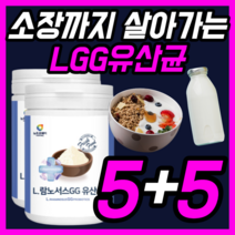 람노서스 락토바실러스 유산균 LGG 엘지지 rgg 패밀리 페밀리 온가족 키즈 유아 베이비 우먼 여성 임산부 직장인 장까지 살아가는 유생균 30대 40대 50대 가루 파우더 분말, 230gx10통