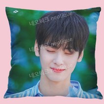 차은추 쿠션 베개 굿즈 아스트로 소품, 부드러운 양털 (베개 포함), 25