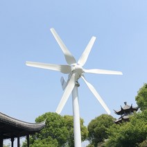 발전기 고효율 eu 인증 신에너지 풍력 발전기 12v 24v 48v 800w 무료 대체 에너지 풍차 mppt 하이브리드 컨트롤러, 풍력 터빈 전용, 800w 6 블레이드
