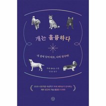 개는 훌륭하다, 상품명