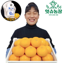 산지직송 제주 스테비아급 고당도 하우스 천혜향, 하우스천혜향 / 3kg / 20~25과내외(중소과)