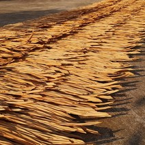 동남아 스타일 초가집 지붕 인조 볏집 초가 플라스틱, 갈색 화성