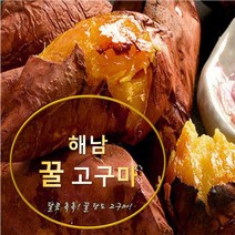 베니하루카 해남 꿀고구마 숙성 햇고구마 베니하루까 2kg 3kg 5kg 10kg 제철 시세 한박스, 10kg 특상사이즈(개당100~300g 내외)